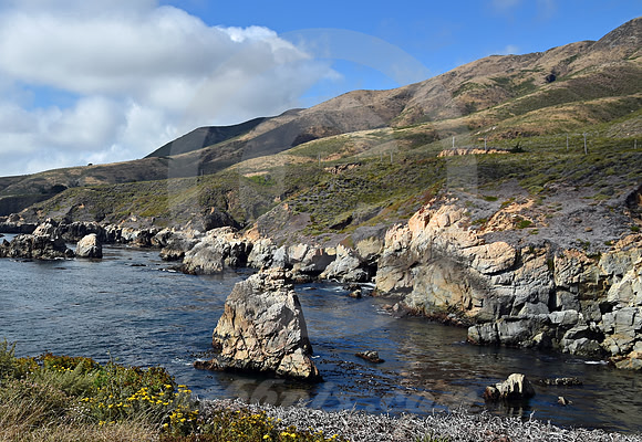 CALIFORNIA STYLE #343 (nr Monterey CA)