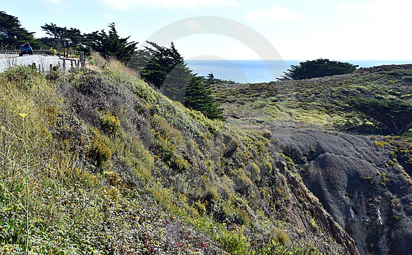 CALIFORNIA STYLE #344 (nr Monterey CA)