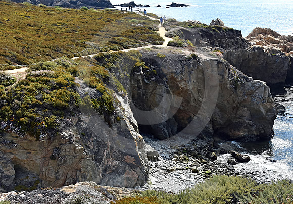 CALIFORNIA LIFE #196 (nr Monterey CA)