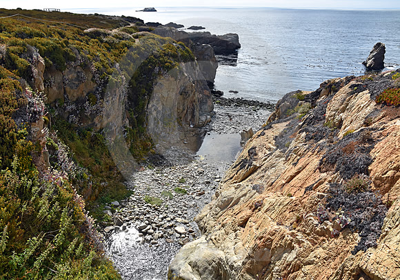 CALIFORNIA STYLE #346 (nr Monterey CA)