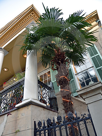 ARCHITECTURAL DETAIL #4 (New Orleans LA)
