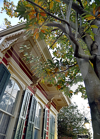 ARCHITECTURAL DETAIL #11 (New Orleans LA)