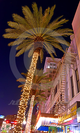ARCHITECTURAL DETAIL #18 (New Orleans LA)