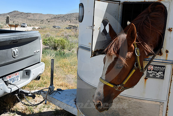RE-RIDE #183 (Simpson Springs UT)