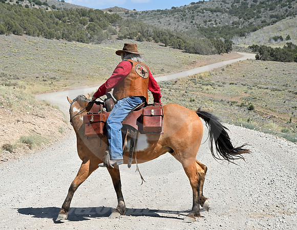 RE-RIDE #189 (nr Lookout Pass UT)