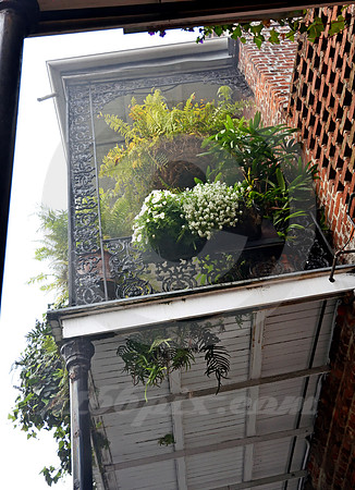 ARCHITECTURAL DETAIL #37 (New Orleans LA)