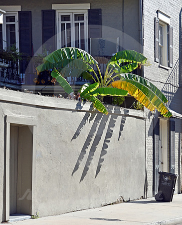 URBAN SCENE #55 (New Orleans LA)