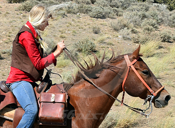RE-RIDE #202 (Lookout Pass UT)