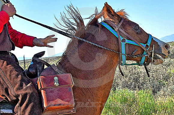 RE-RIDE #203 (nr Faust UT)