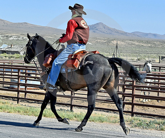 RE-RIDE #204 (Faust UT)