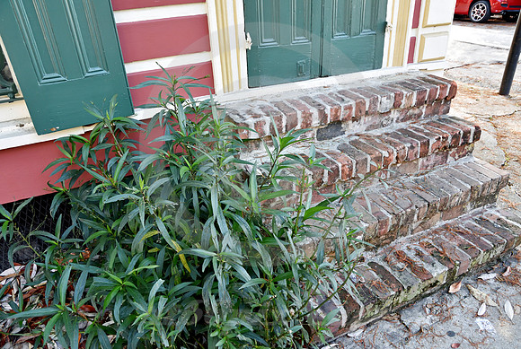 (ARCHITECTURAL DETAIL #71 (New Orleans LA)