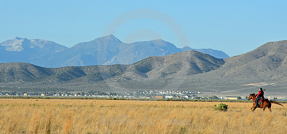 RE-RIDE #220 (nr Fairfield UT)
