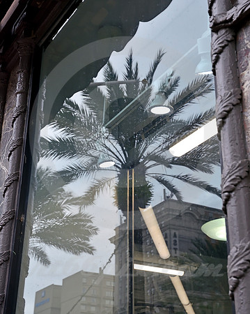 ARCHITECTURAL DETAIL #88 (New Orleans LA)