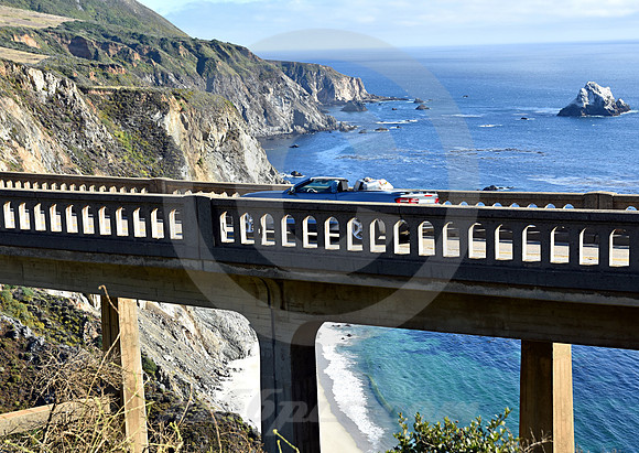 CALIFORNIA LIFE #197 (nr Monterey CA)