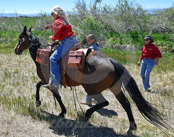 RE-RIDE #253 (nr Urie WY)