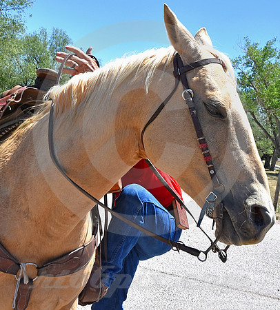 RE-RIDE #270 (Lyman WY)