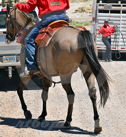 RE-RIDE #289 (nr Granger WY)