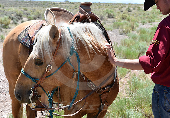 RE-RIDE #297 (nr Granger WY)