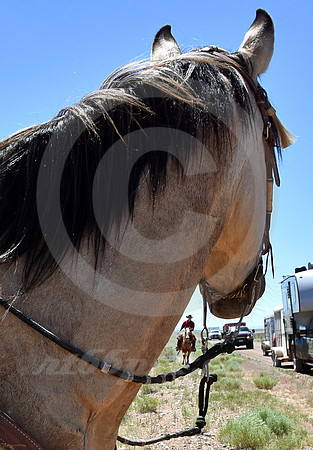 RE-RIDE #298 (nr Granger WY)