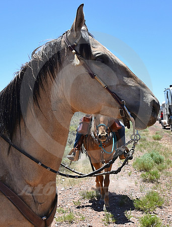 RE-RIDE #303 (nr Granger WY)