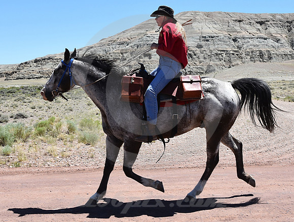 RE-RIDE #316 (nr Granger WY)
