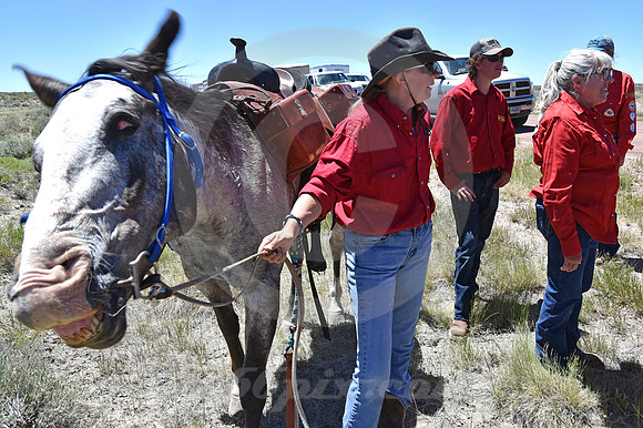 RE-RIDE #326 (nr Farson WY)