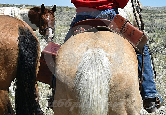 RE-RIDE #327 (nr Granger WY)