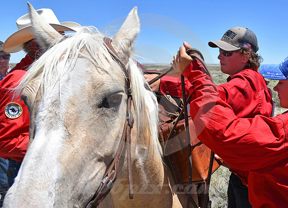 RE-RIDE #331 (nr Granger WY)