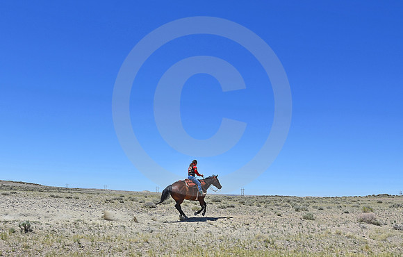 RE-RIDE #338 (nr Granger WY)