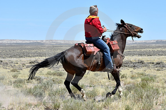 RE-RIDE #339 (nr Granger WY)