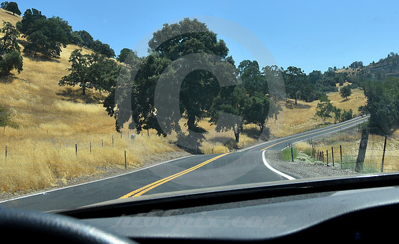 HILLS & CURVES #3 (nr Angels Camp CA)