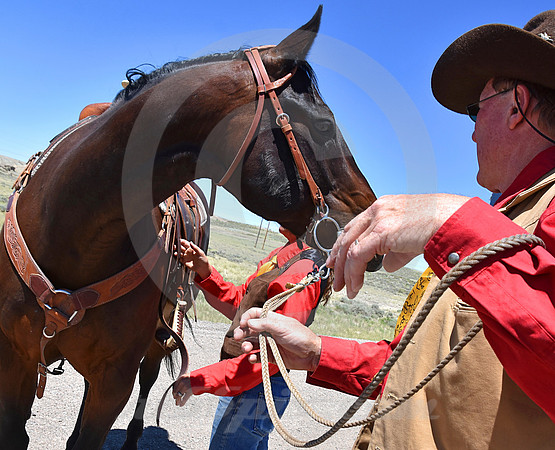RE-RIDE #341 (nr Granger WY)