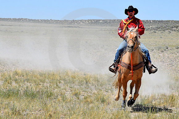 RE-RIDE #352 (nr Granger WY)