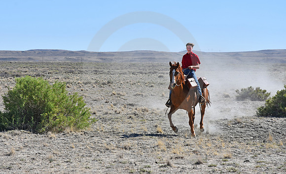RE-RIDE #363 (nr Granger WY)
