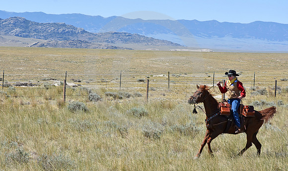 RE-RIDE #373 (central WY)
