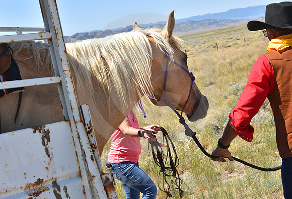 RE-RIDE #375 (central WY)