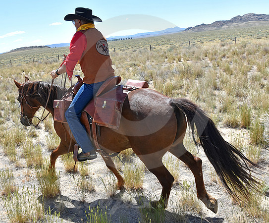 RE-RIDE #381 (central WY)