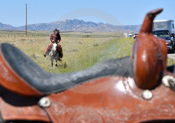 RE-RIDE #384 (central WY)