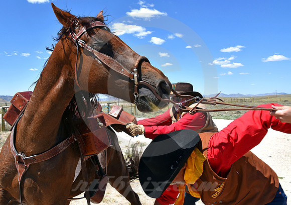RE-RIDE #388 (Oregon Trail WY)