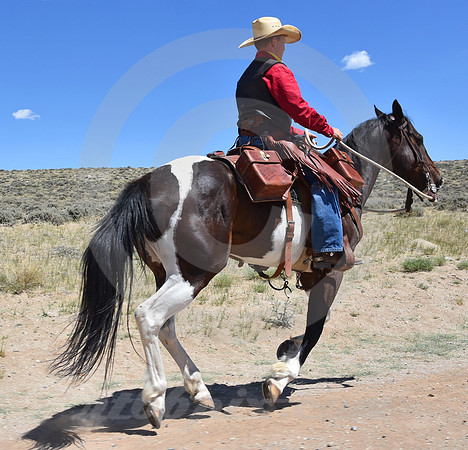 RE-RIDE #393 (Oregon Trail WY)