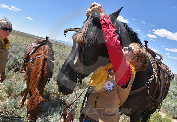 RE-RIDE #408 (Oregon Trail WY)