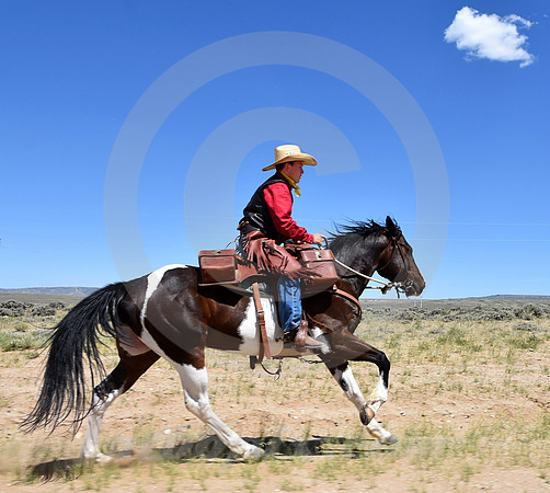 RE-RIDE #403 (Oregon Trail WY)
