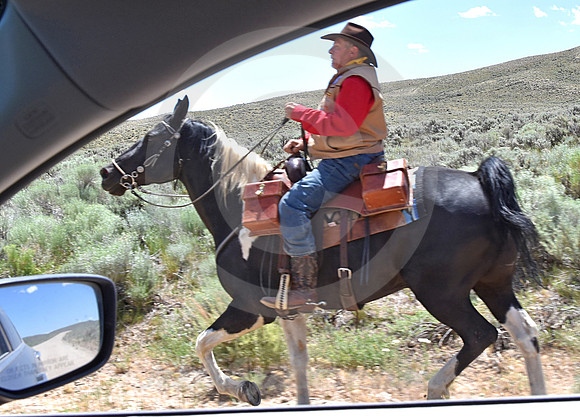 RE-RIDE #411 (Oregon Trail WY)