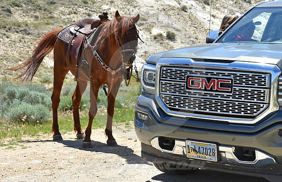 RE-RIDE #419 (Oregon Trail WY)