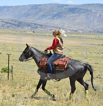 RE-RIDE #431 (Oregon Trail WY)