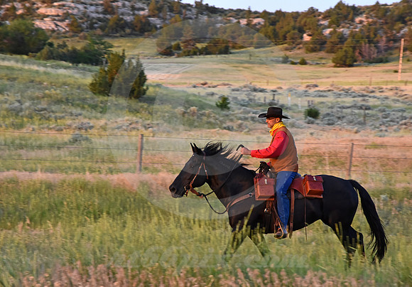 RE-RIDE #444 (nr Guernsey WY)