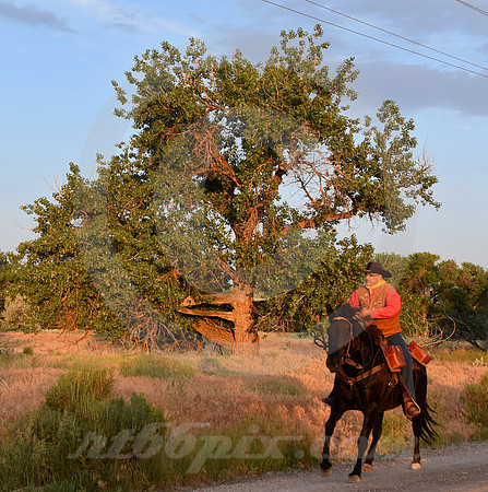 RE-RIDE #448 (nr Guernsey WY)