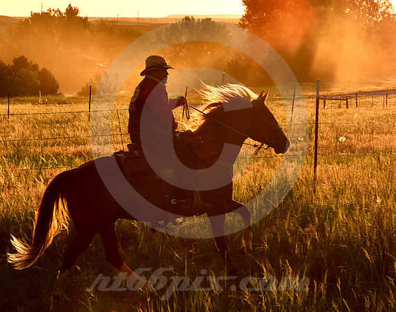 RE-RIDE #455 (Guernsey WY)