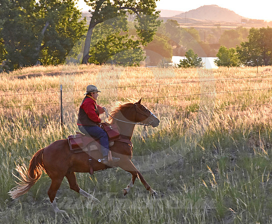 RE-RIDE #456 (Guernsey WY)
