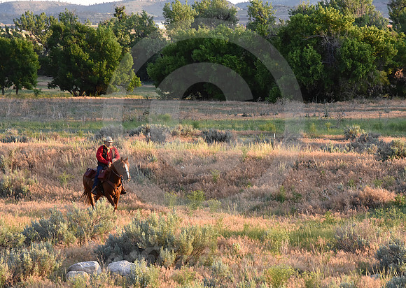 RE-RIDE #458 (Guernsey WY)
